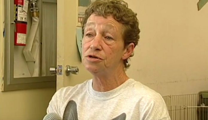 4-solutions-to-animal-abuse 4-solutions-to-animal-abuse